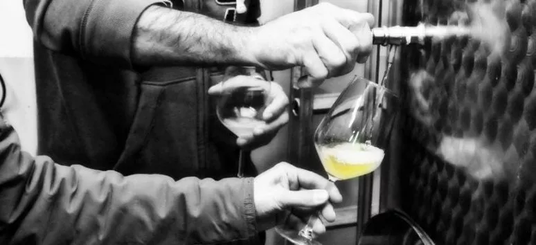 Immagine visita Visita Libera con il Vignaiolo nelle Vigne e in Cantina con degustazione cantina Tenuta San Marcello Immagine visita Visita Libera con il Vignaiolo nelle Vigne e in Cantina con degustazione cantina Tenuta San Marcello