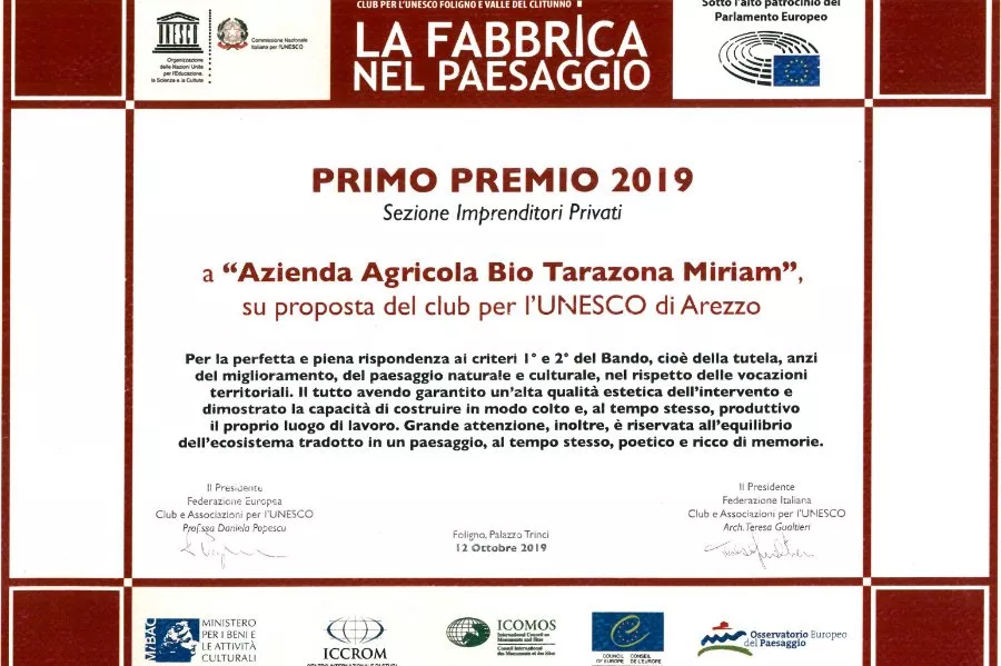 Tarazona, Il Vino Etrusco