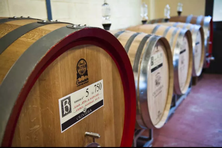 Immagine Cantina Oliviera 3 Immagine Cantina Oliviera 3