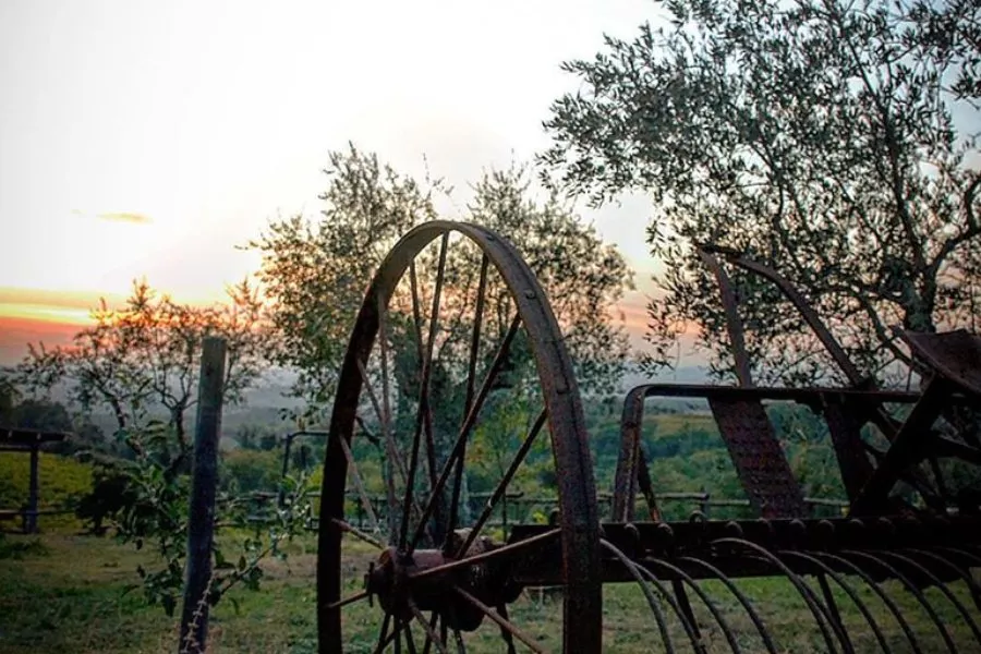 Immagine Super Tuscan 13 Immagine Super Tuscan 13