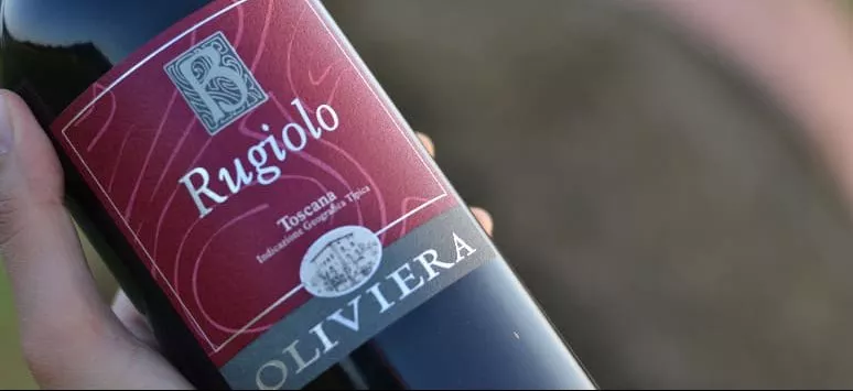 Immagine visita Super Tuscan cantina Cantina Oliviera