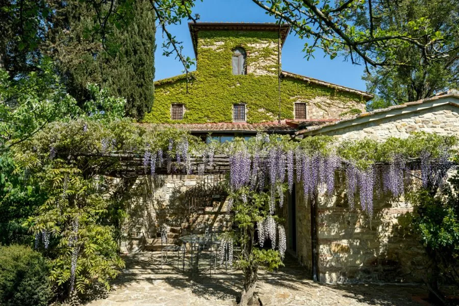 Immagine Tenuta degli Dei 5