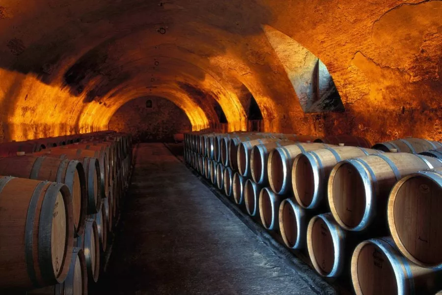 Immagine Tenuta degli Dei 9