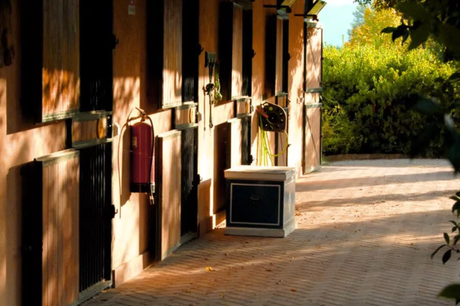 Immagine Tenuta degli Dei 11