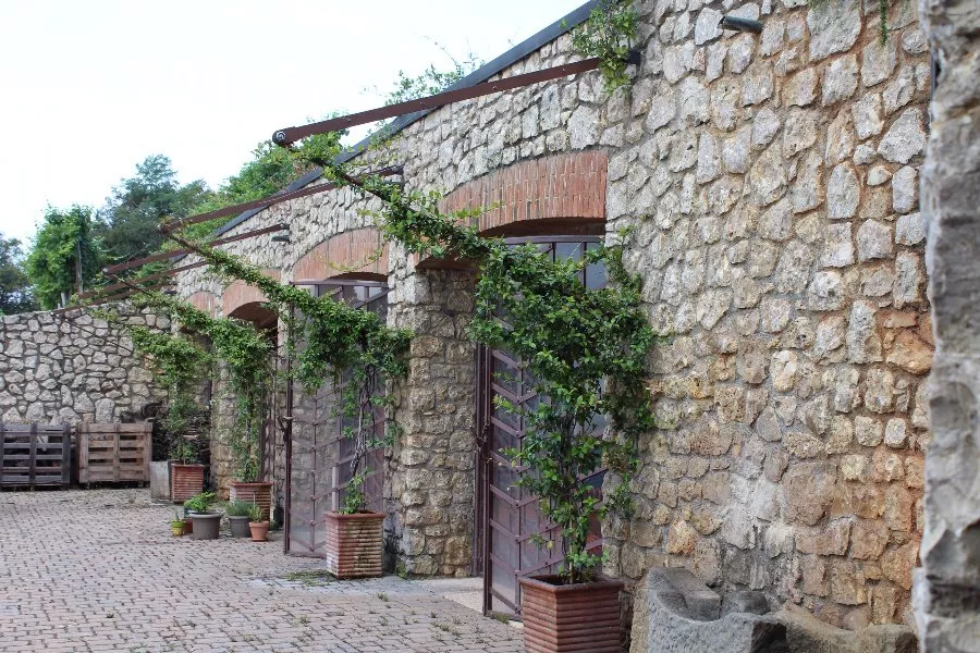 Immagine Arcari + Danesi Franciacorta e SoloUva 5 Immagine Arcari + Danesi Franciacorta e SoloUva 5