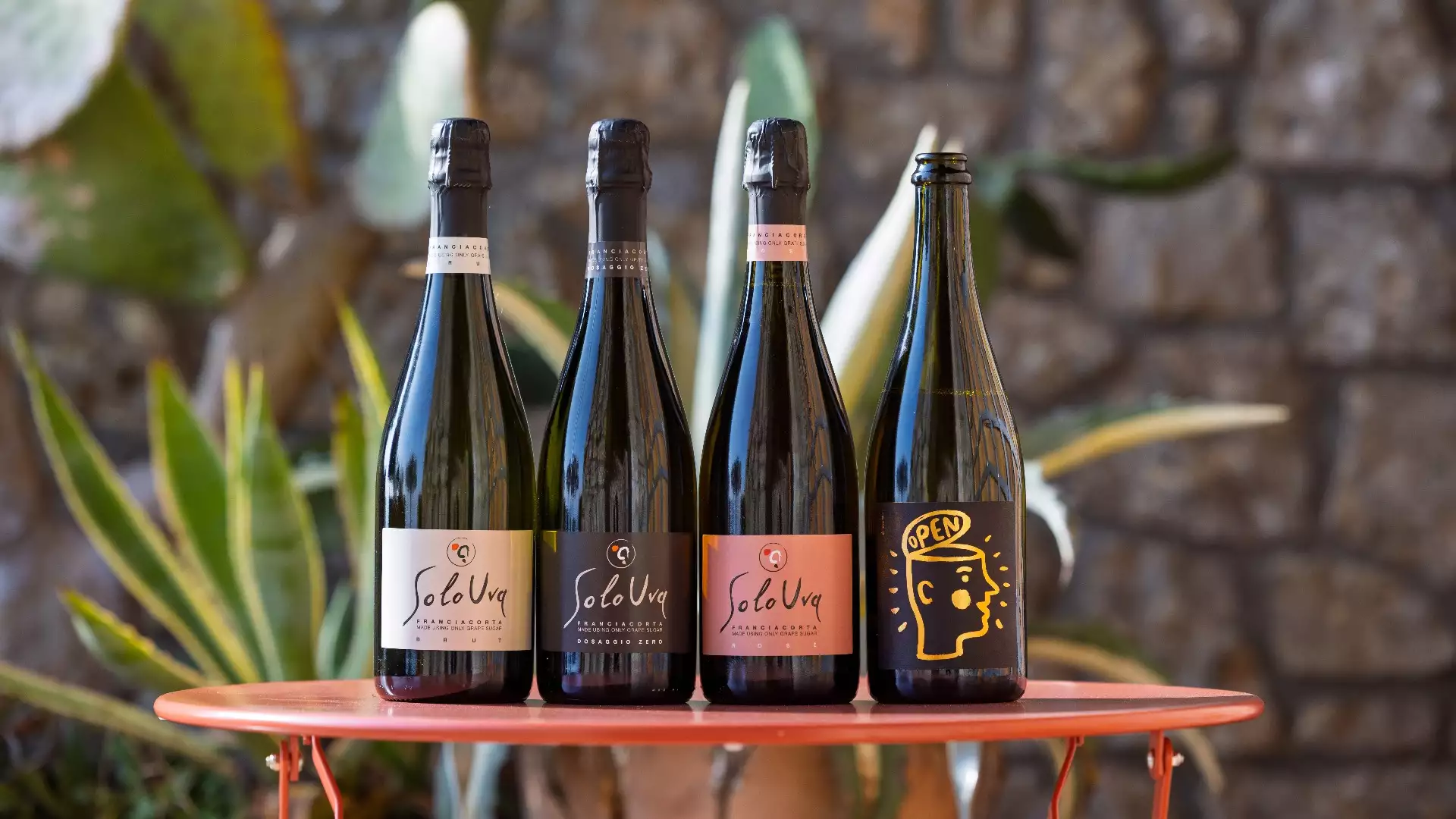 Immagine visita Tasting SoloUva Franciacorta and Open