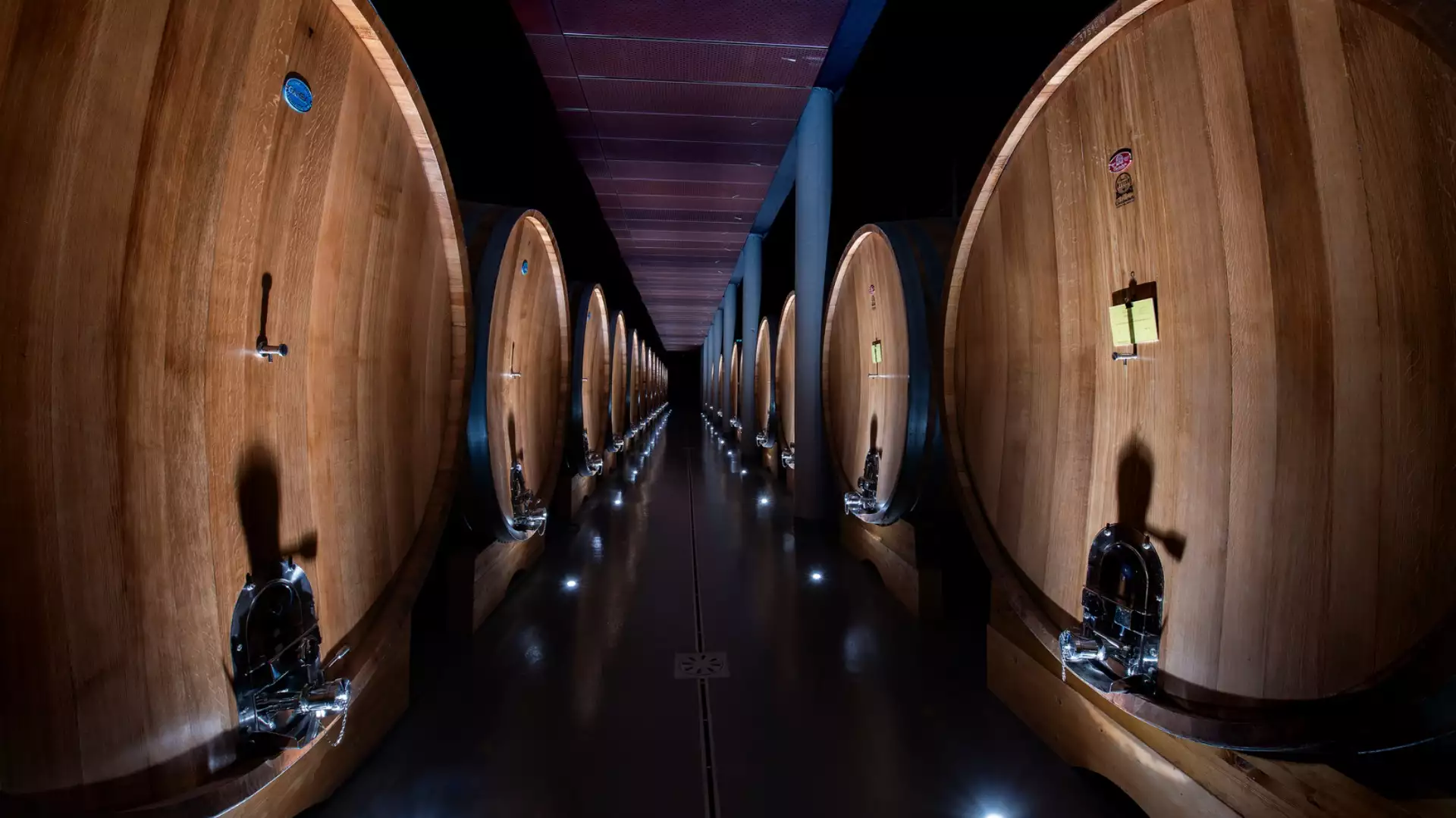 Immagine Standard wine tour 8 Immagine Standard wine tour 8
