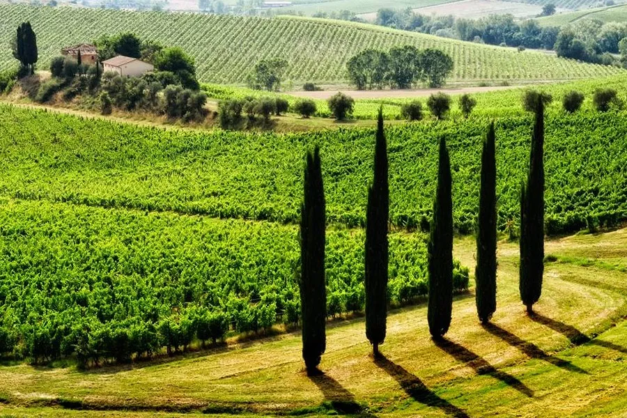 Immagine Standard wine tour 10 Immagine Standard wine tour 10