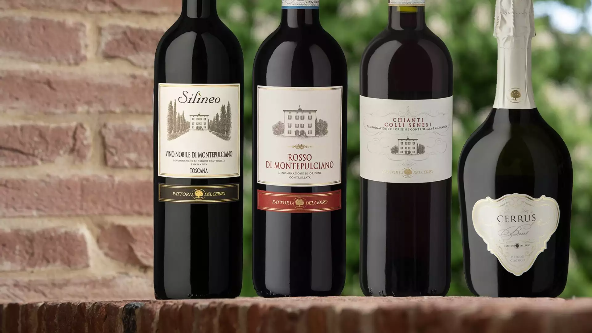 Immagine visita Standard wine tour cantina Fattoria del Cerro