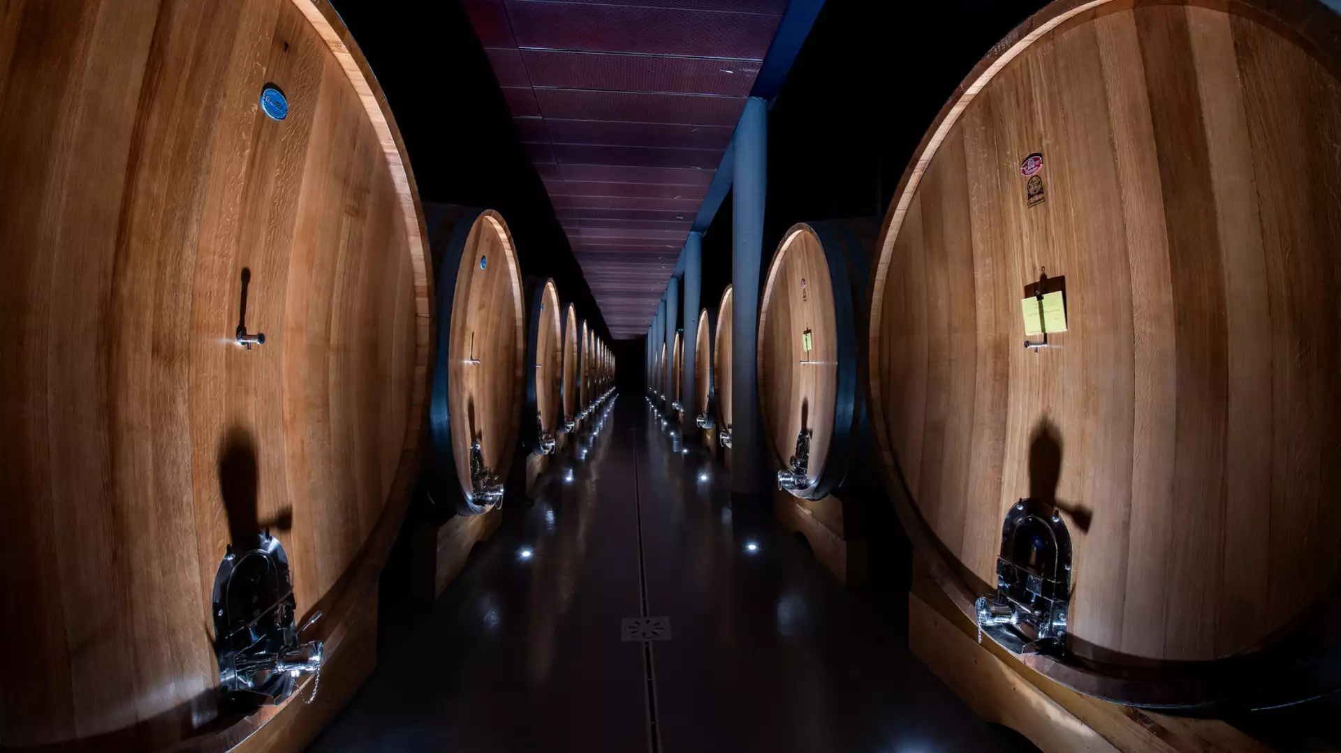 Immagine Fattoria del Cerro wine & food experience 2 Immagine Fattoria del Cerro wine & food experience 2