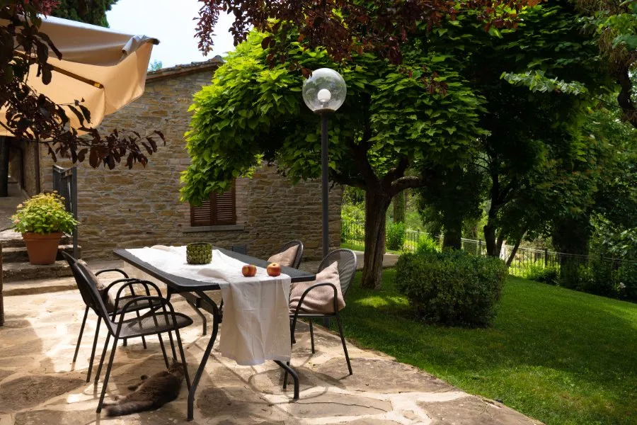 Immagine Degustazioni i quattro colori del vino 11 Immagine Degustazioni i quattro colori del vino 11