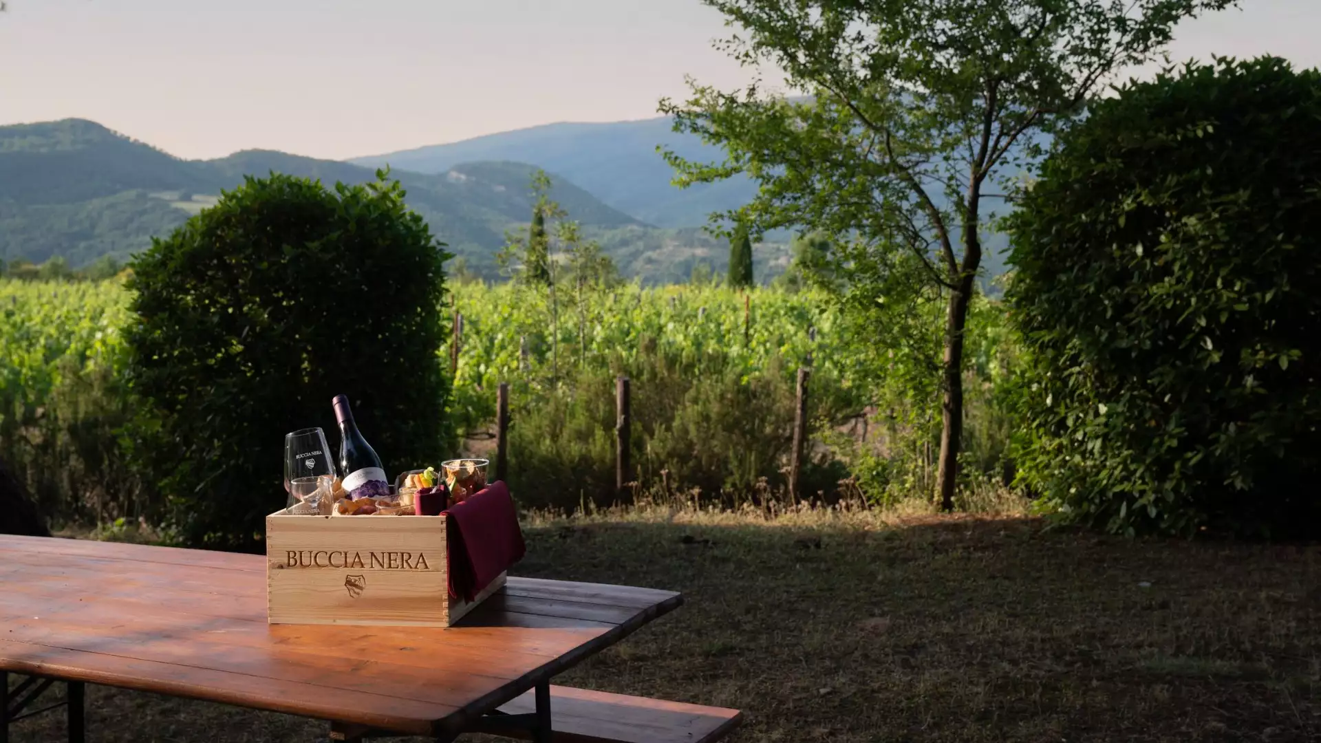 Immagine visita Picnic in vigna cantina Cantina Buccia Nera