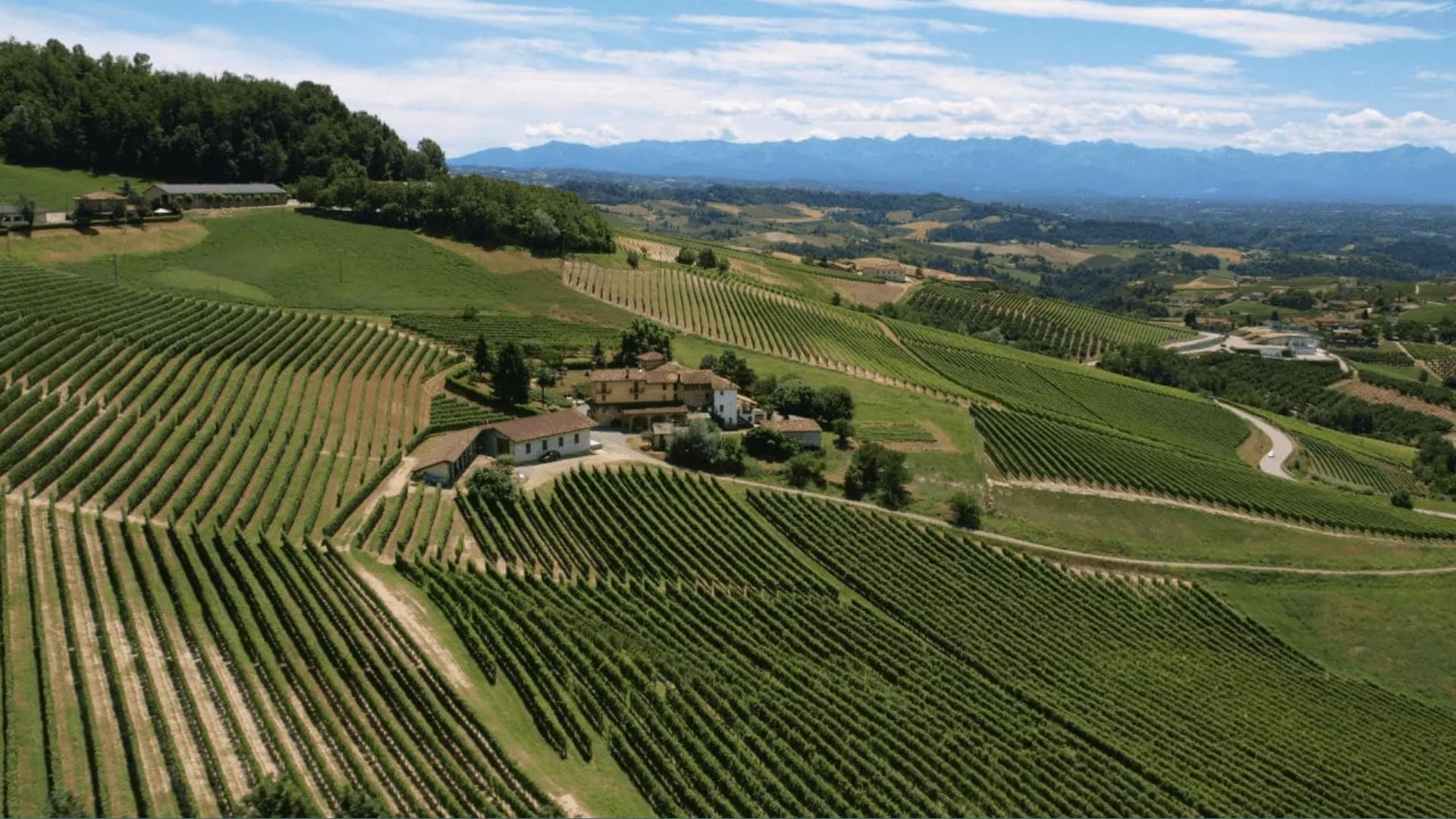 Immagine cantina Cascina Sòt