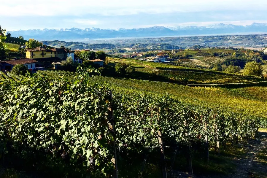 Immagine Degustazione 7 Immagine Degustazione 7