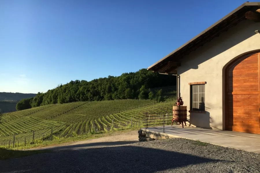 Immagine Degustazione 8 Immagine Degustazione 8