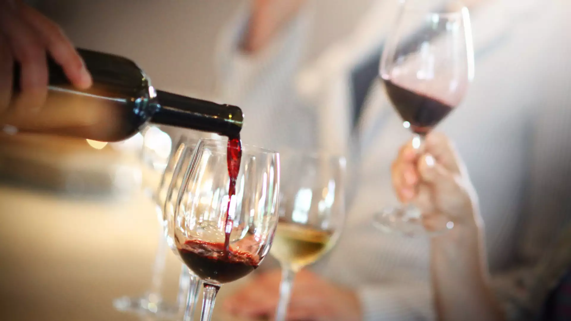 Immagine visita Degustazione cantina Cascina Sòt Immagine visita Degustazione cantina Cascina Sòt