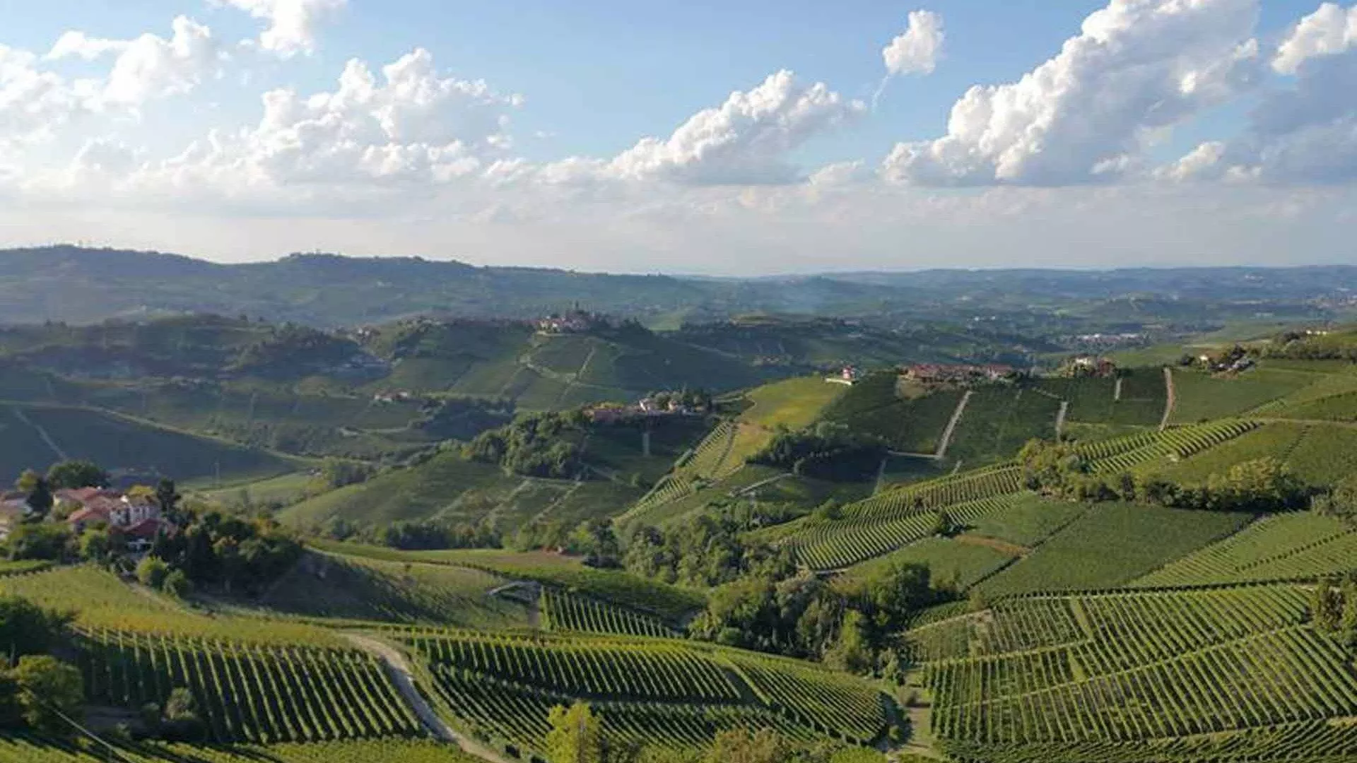 Weinverkostungen Langhe Weinverkostungen Langhe