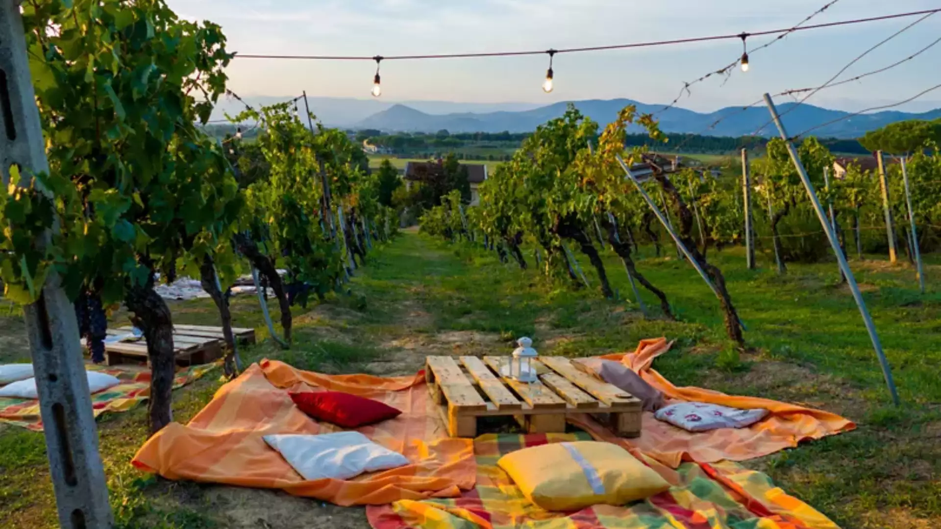 Picnic in Toscana
