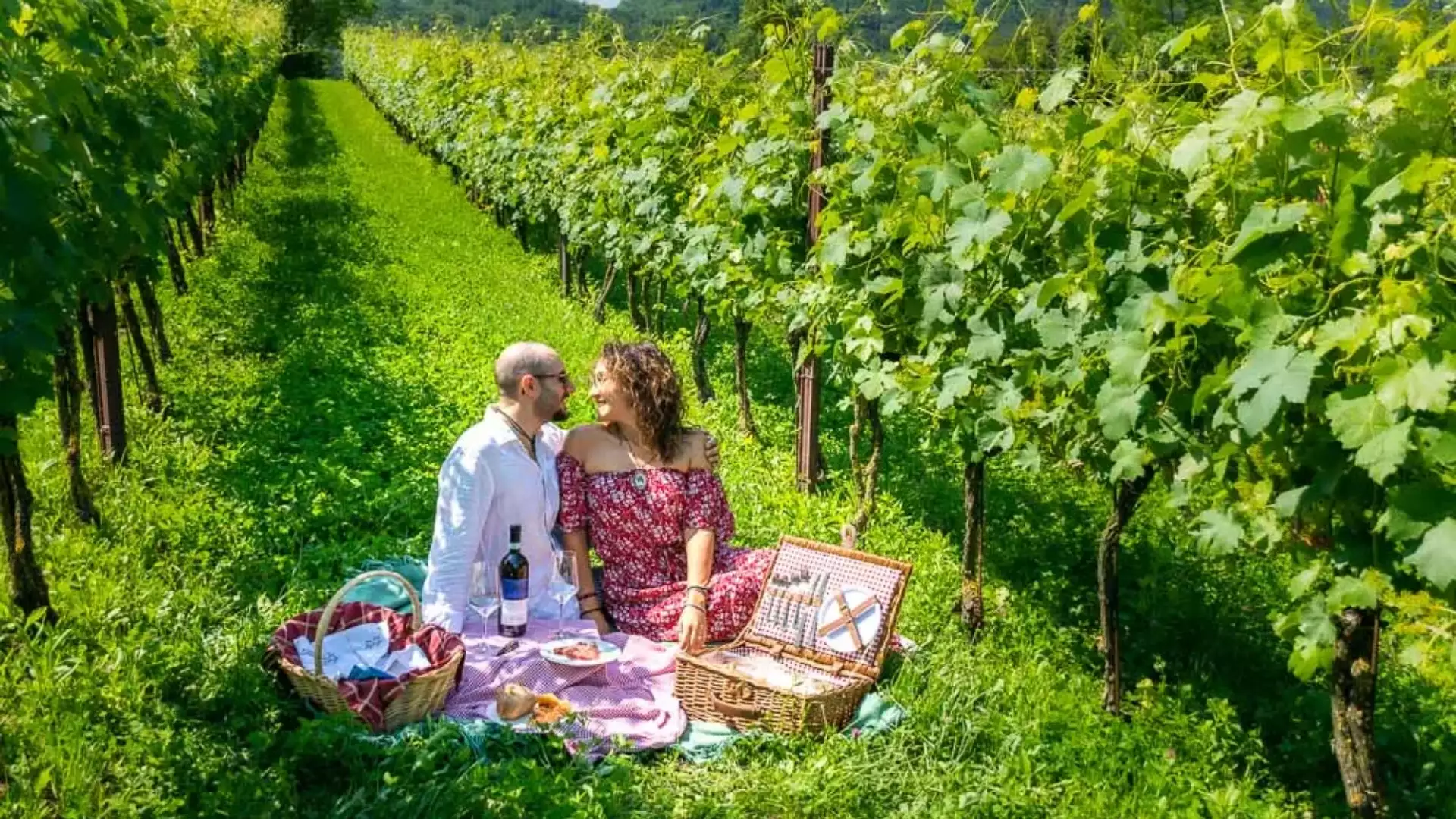 Picnic in Piemonte Picnic in Piemonte