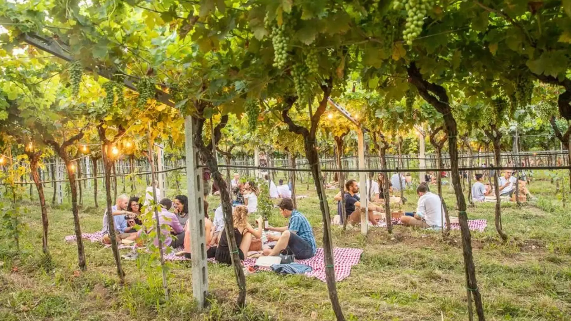 Picnic in Veneto Picnic in Veneto