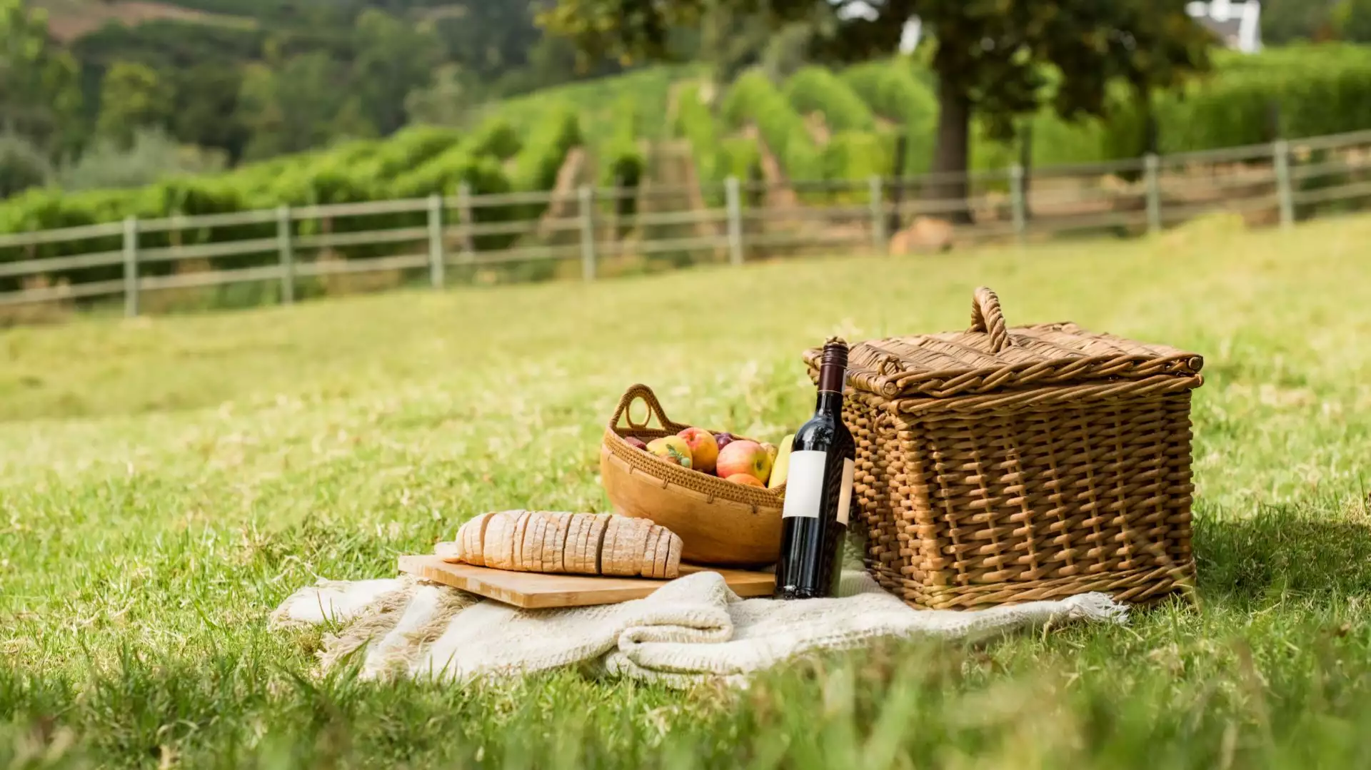 Picknick und Weinerlebnisse