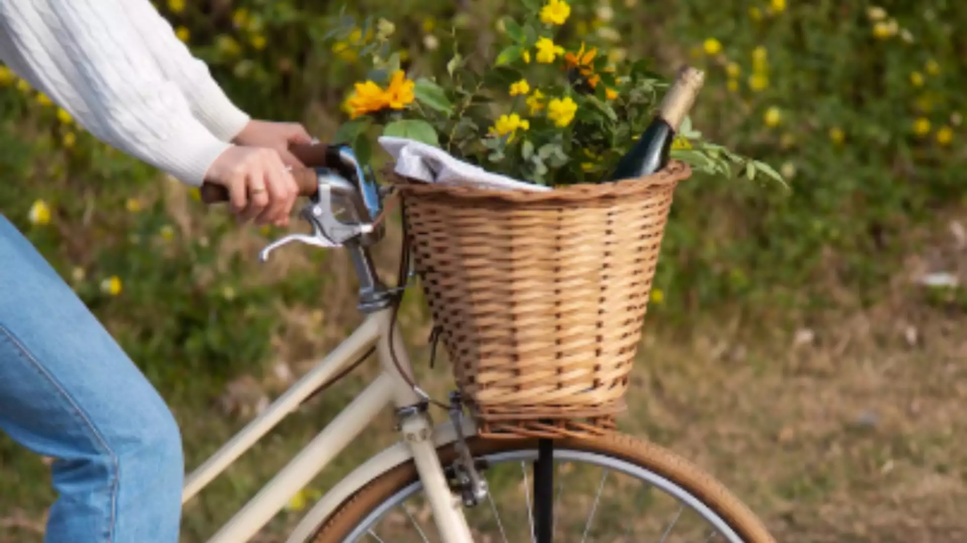 Fahrrad, E-Bike, Vespa und Quad Tour Fahrrad, E-Bike, Vespa und Quad Tour