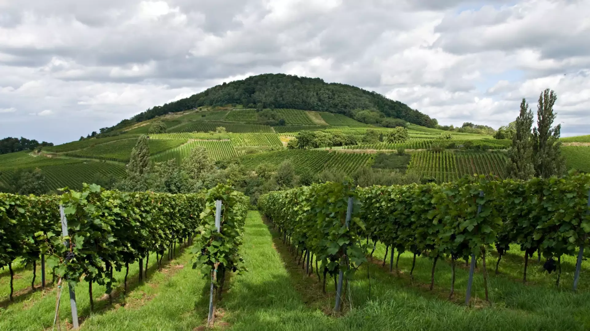 Territori & Tipicità