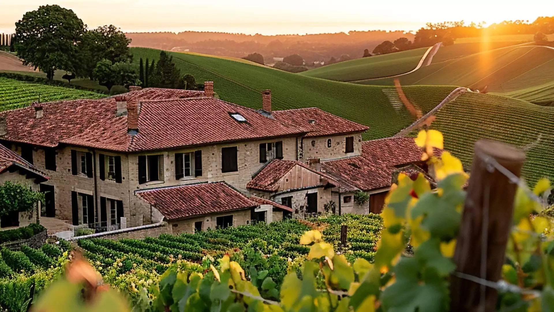 Agriturismi nelle vigne