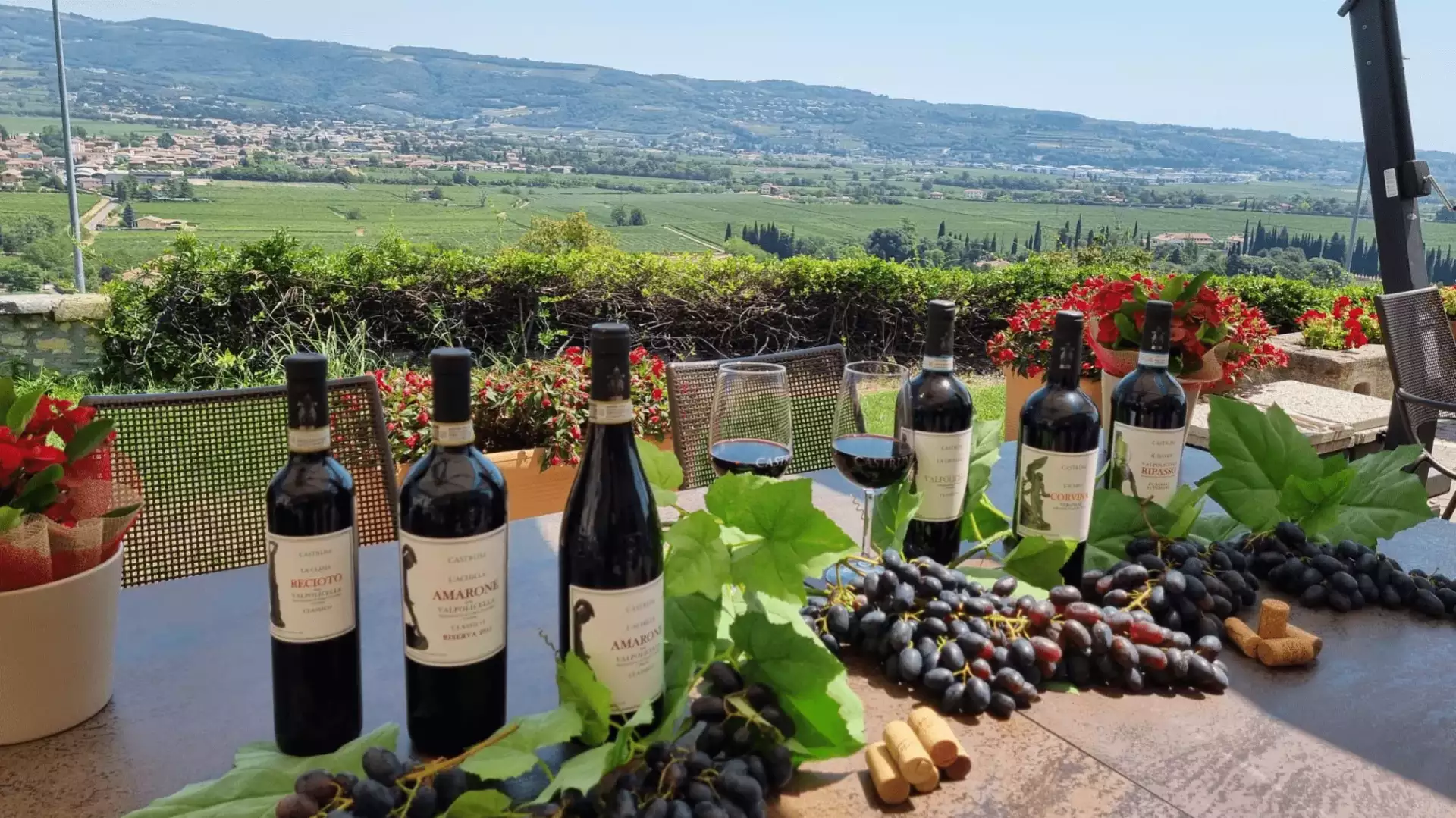 Castrum Winery Castrum Winery