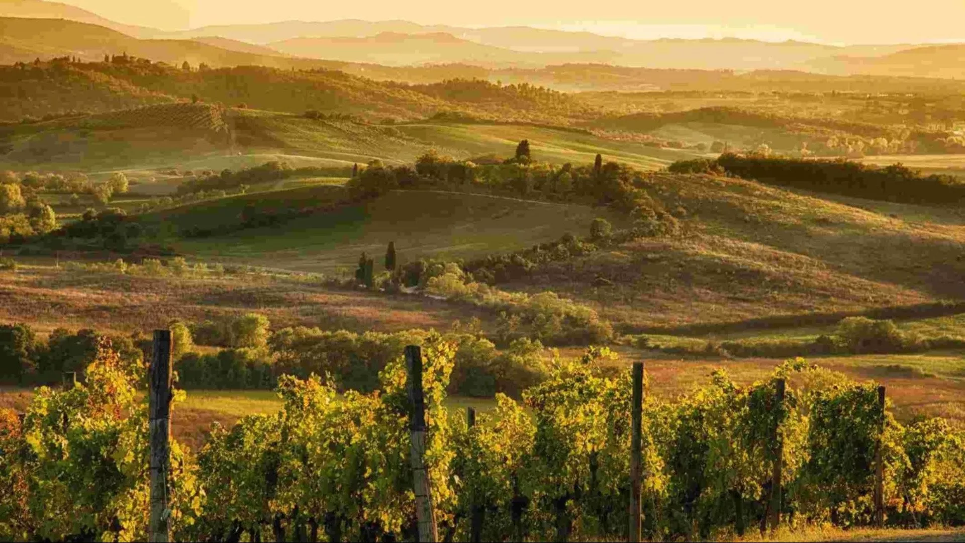 Degustazioni Chianti Classico