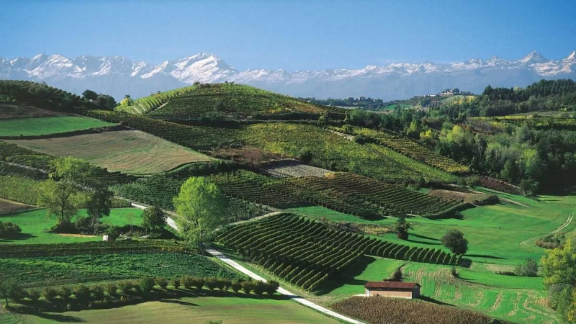 Colline Novaresi Colline Novaresi