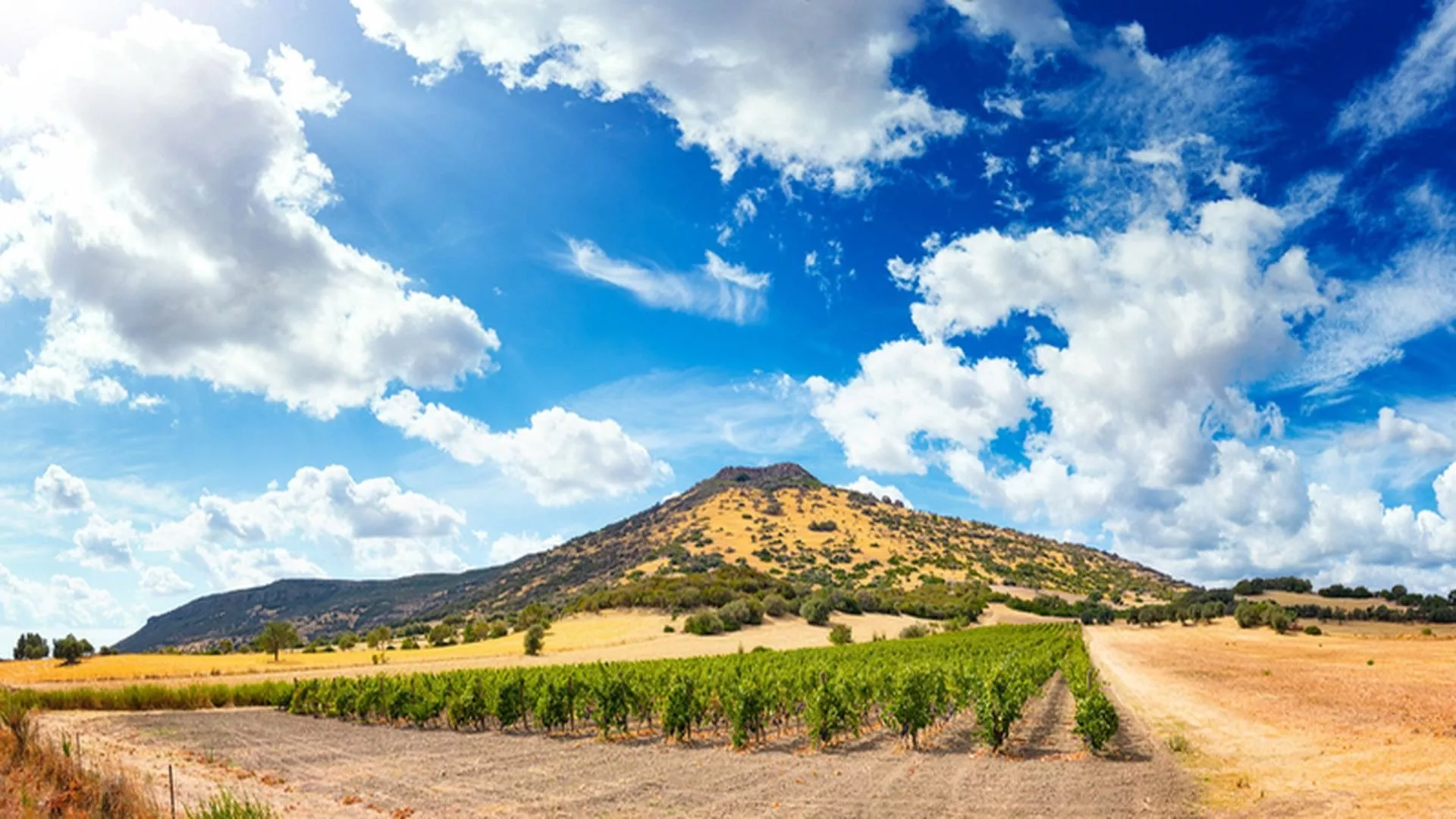 Sardegna - Le strade del vino