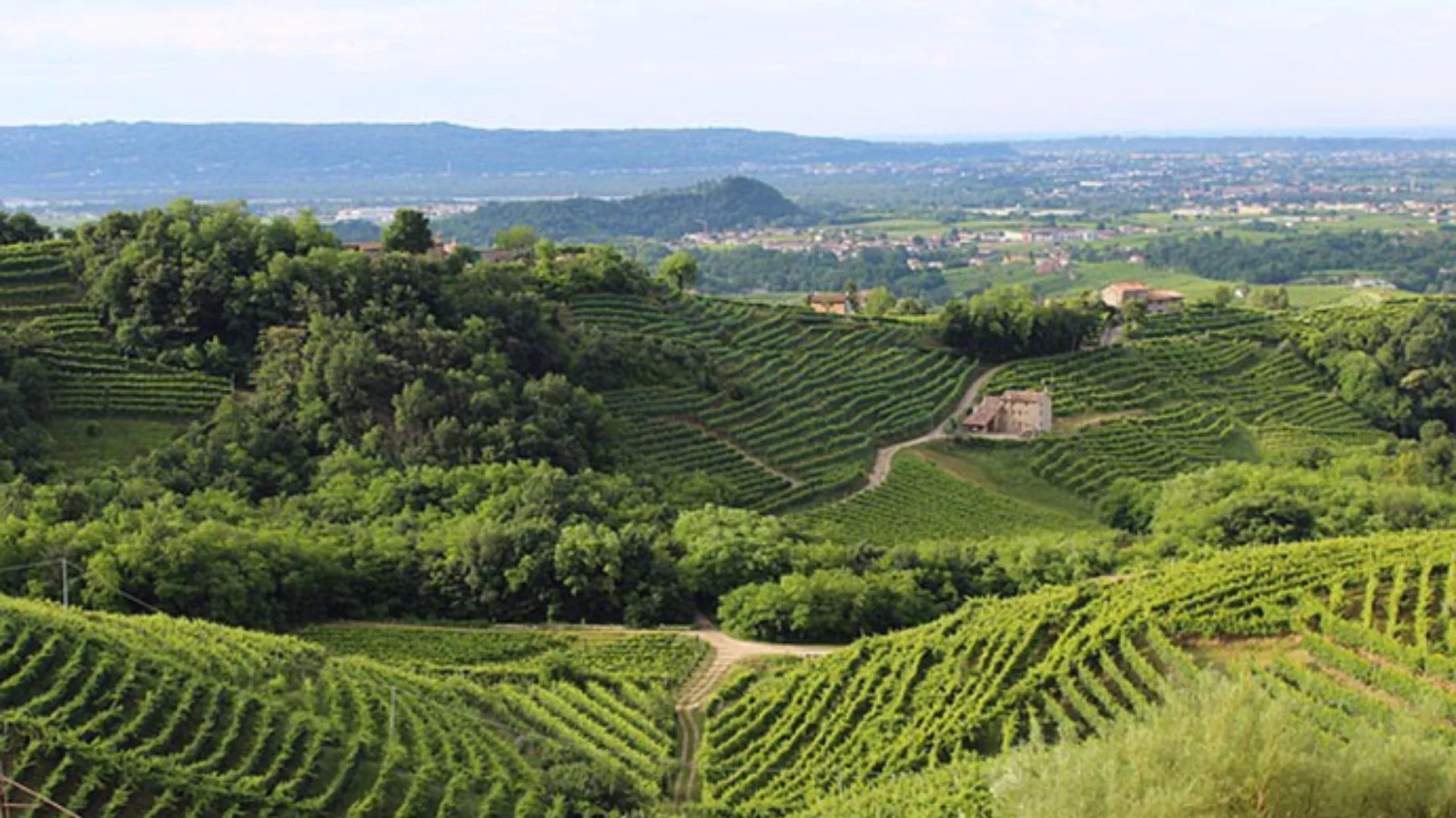 Montello e Colli Asolani Montello e Colli Asolani
