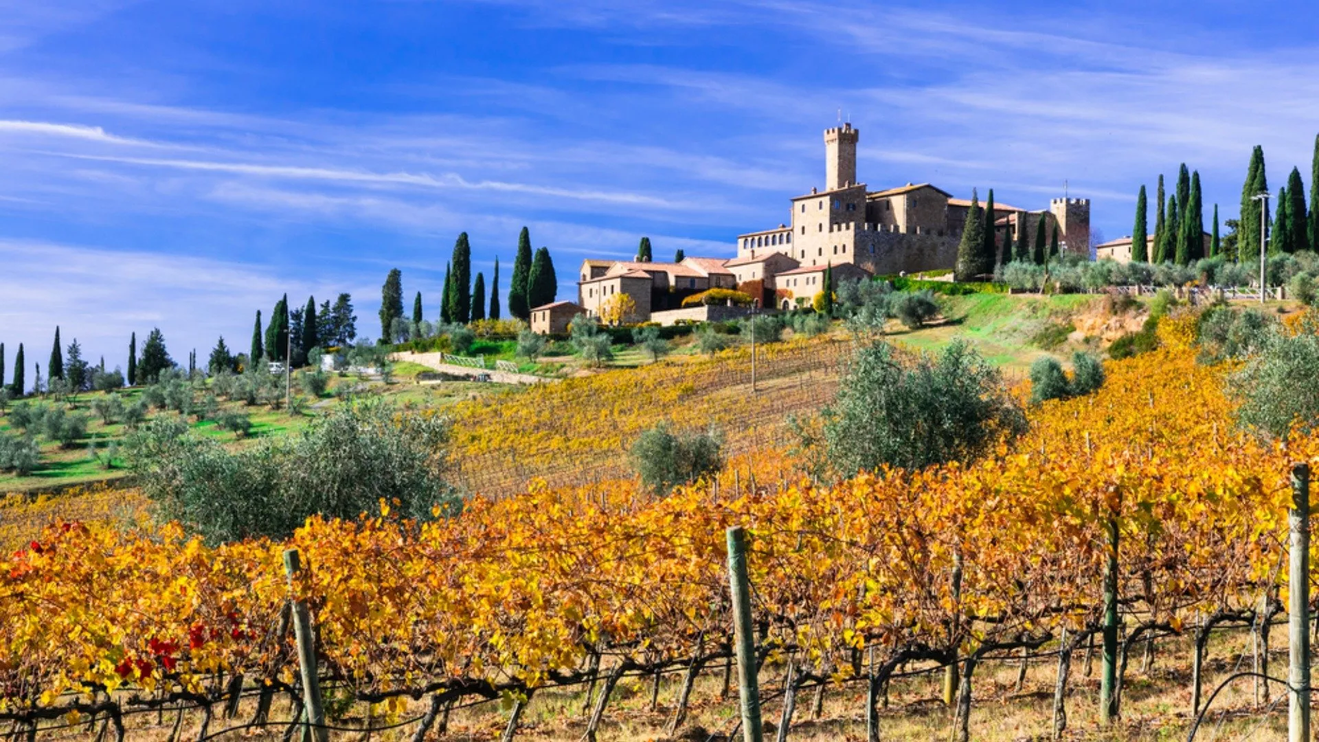 Degustazioni di Vini a Montalcino: Un Viaggio tra le Migliori Cantine