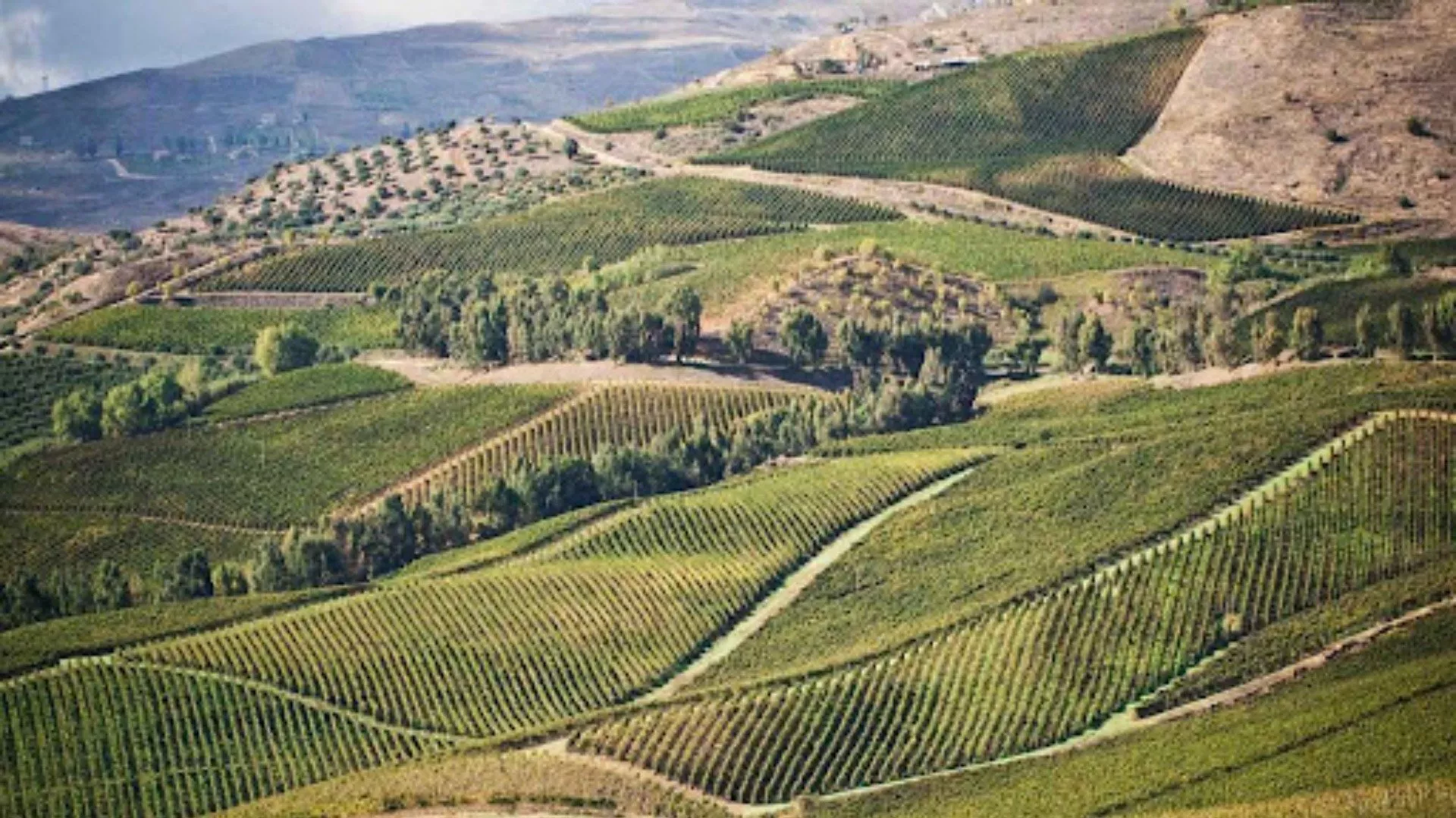 Terre sicane