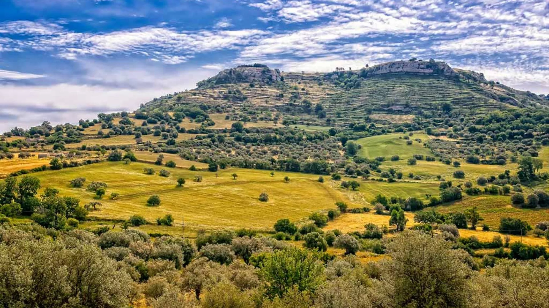 Moscato di Noto e di Siracusa