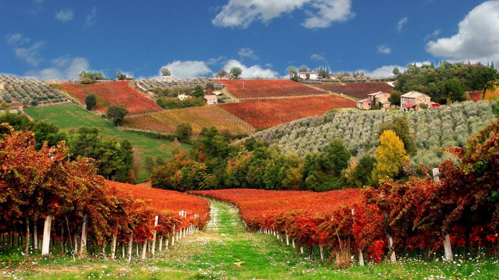 Strada del Sagrantino