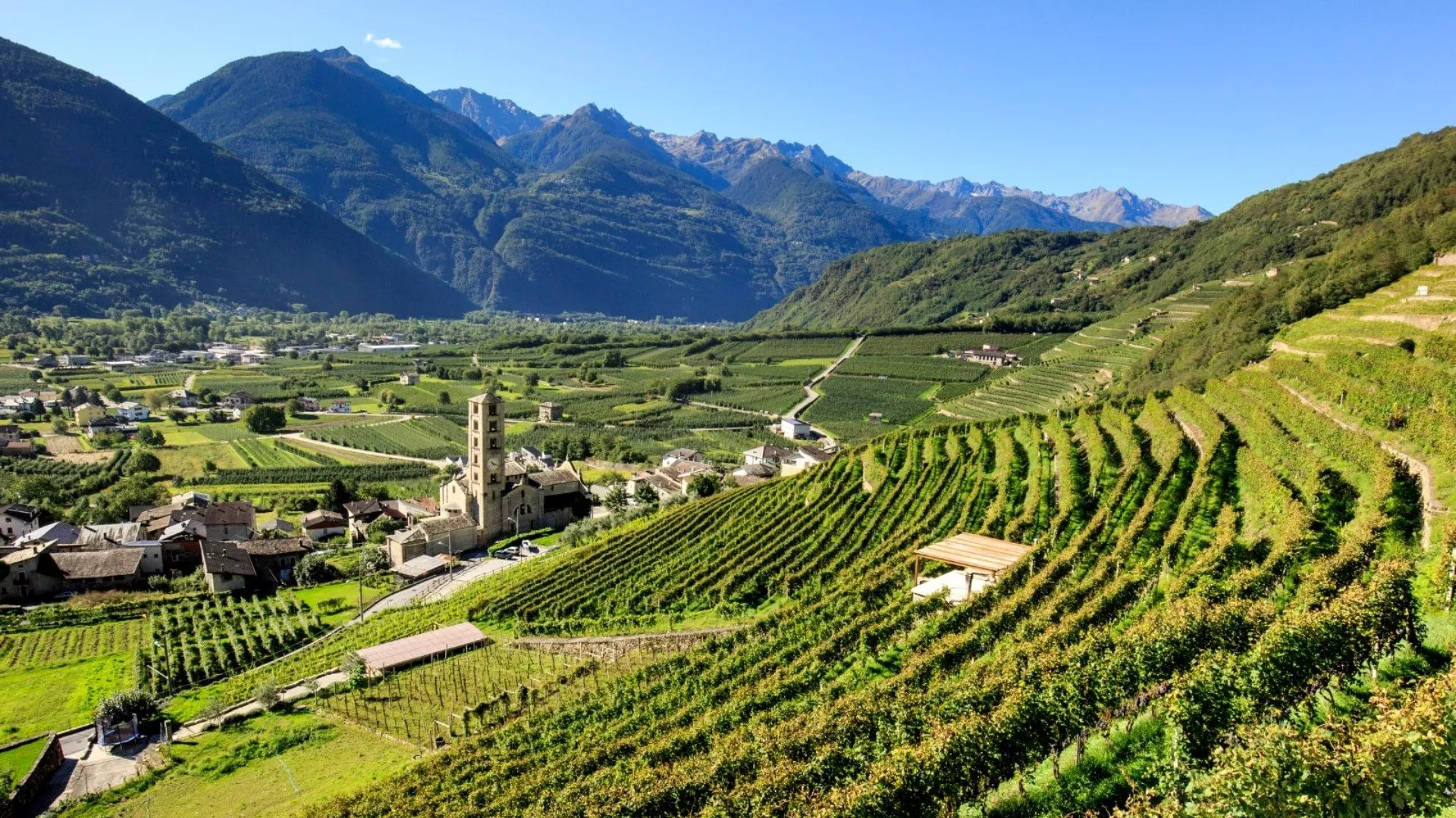 Valtellina