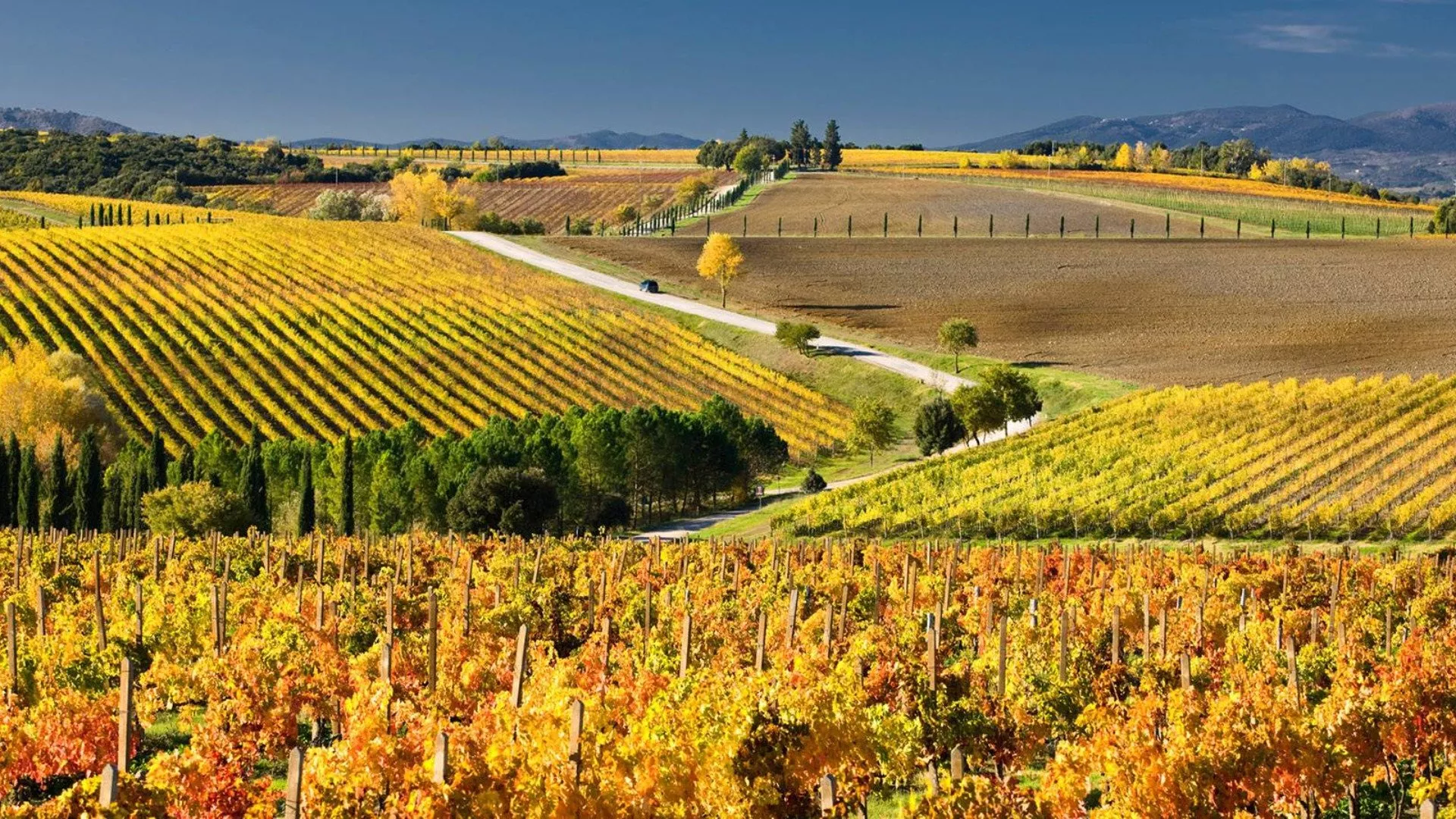 Colli di Maremma