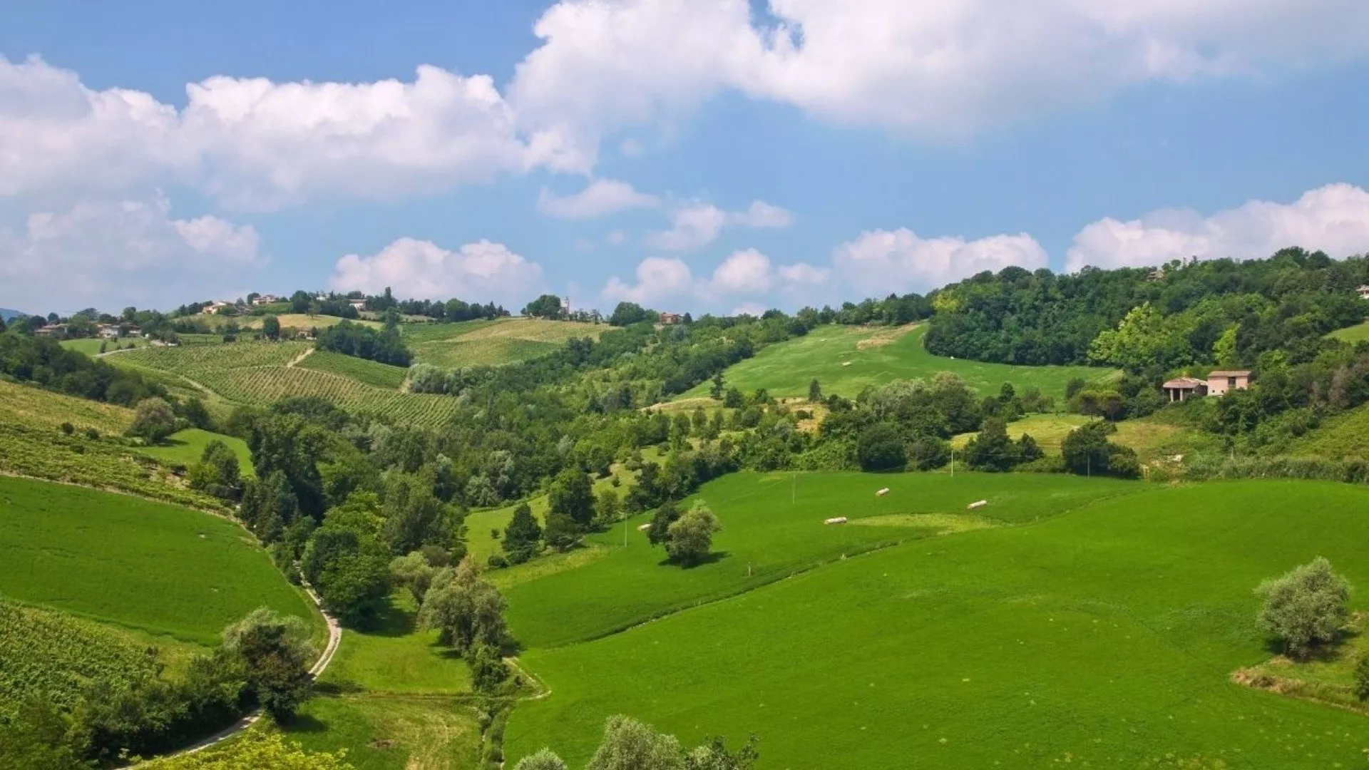 Colli di Parma
