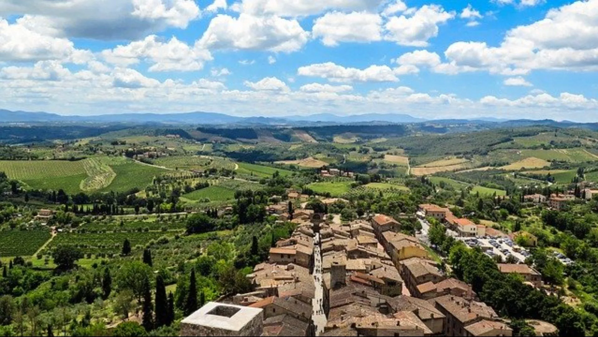 Vernaccia di San Gimignano
