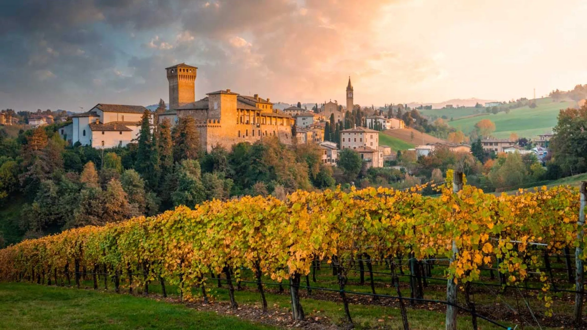 Degustazioni Vini Colli Bolognesi