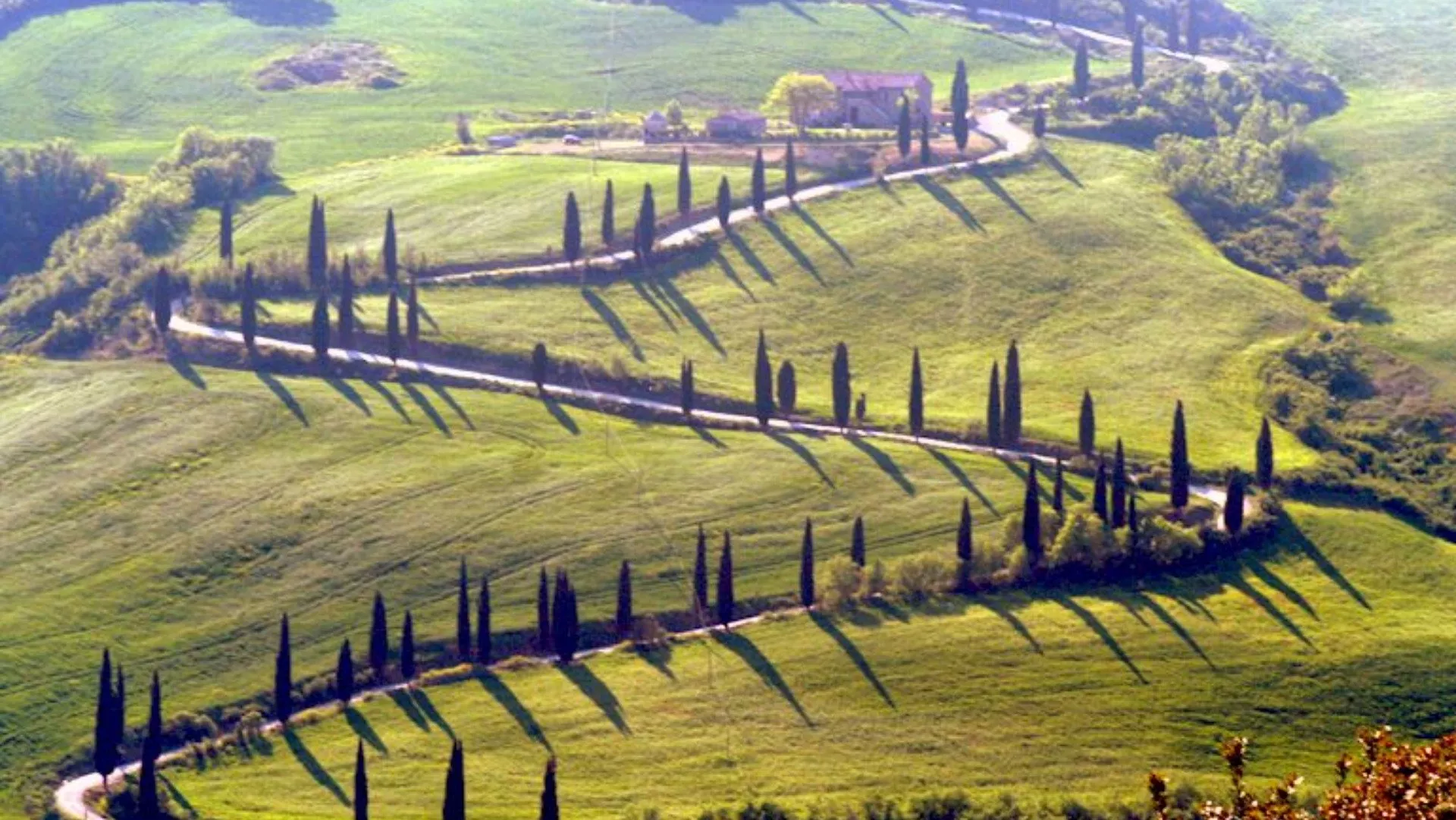 Vino d'Orcia
