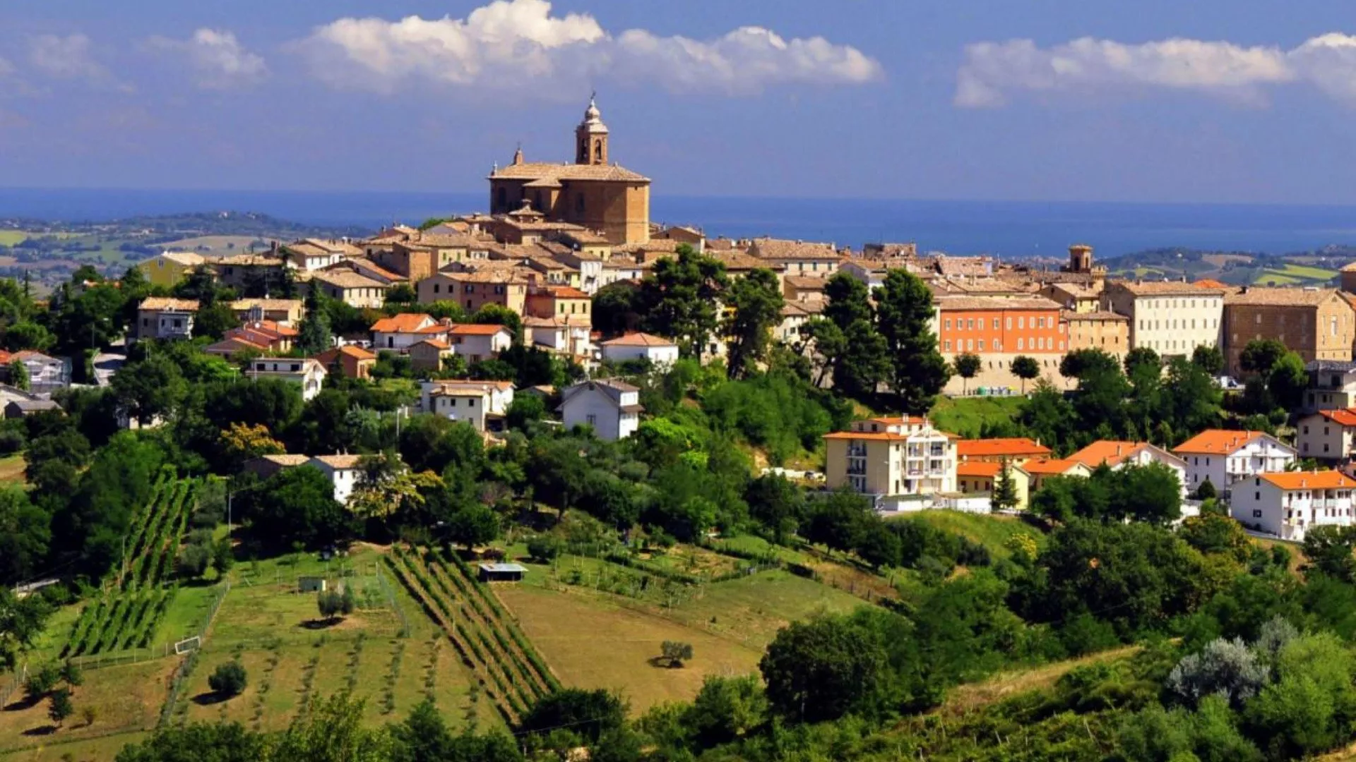 Verdicchio and the castles of Jesi Verdicchio and the castles of Jesi