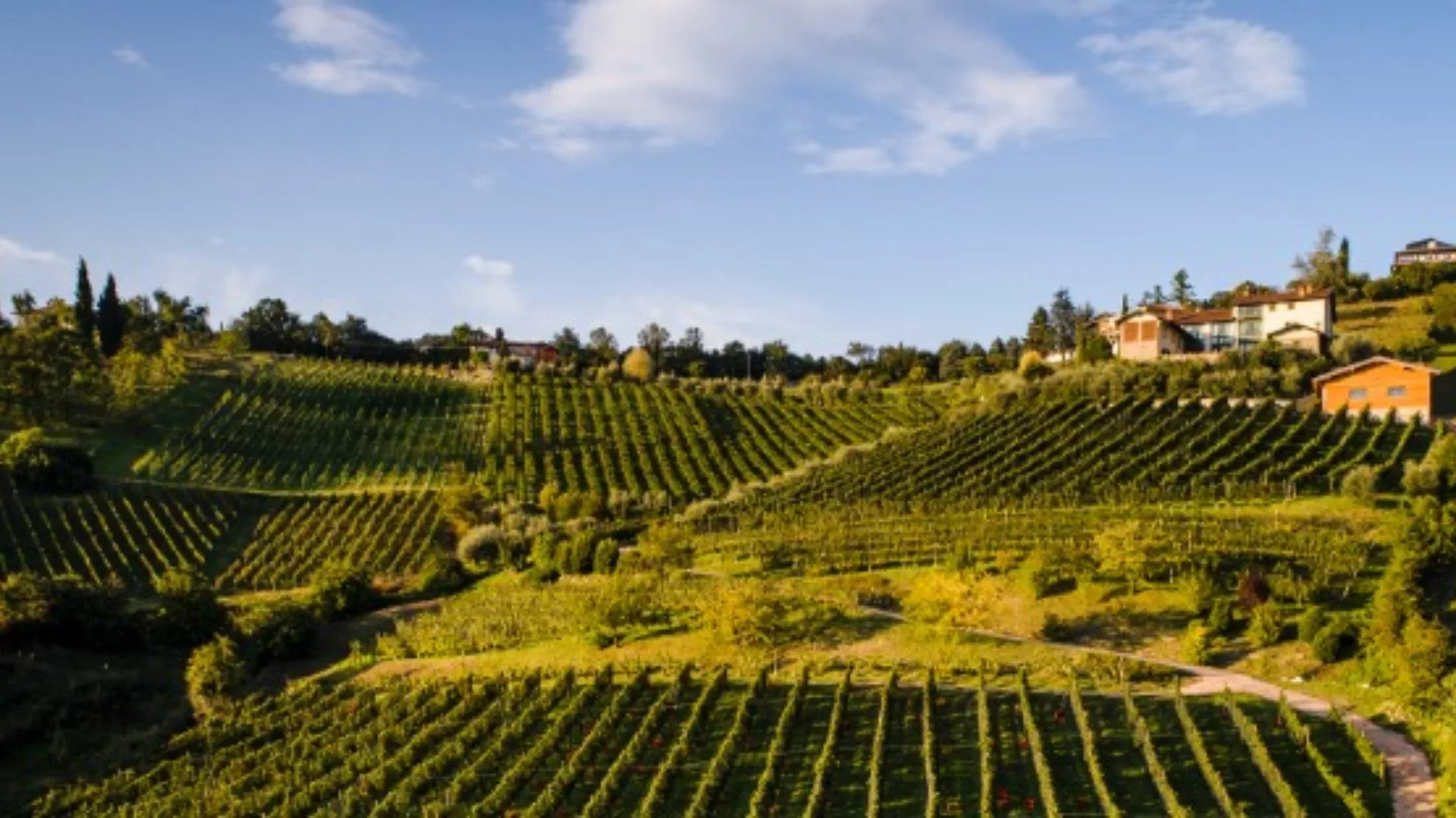 Road of Valcalepio Wine and Flavors of Bergamo Road of Valcalepio Wine and Flavors of Bergamo