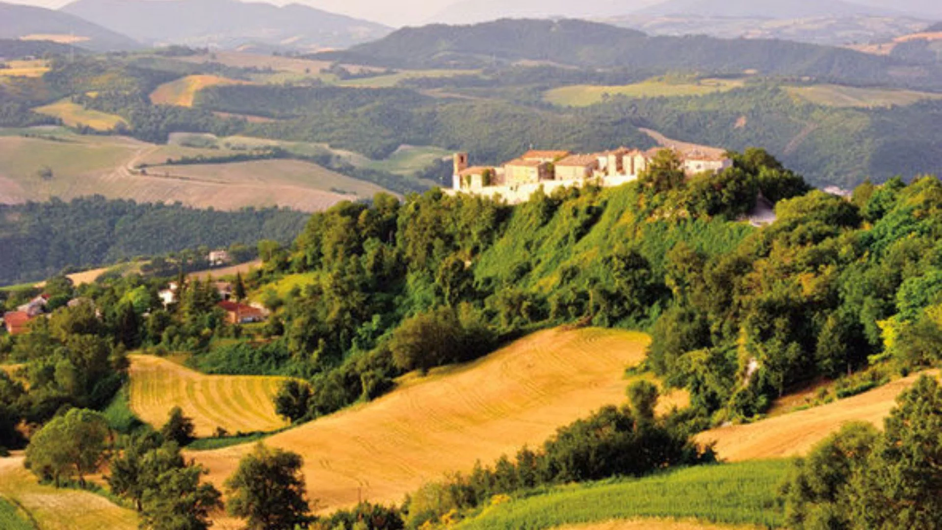 Rosso Piceno Rosso Piceno