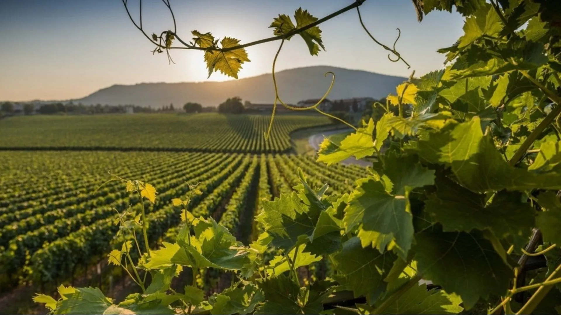 Franciacorta