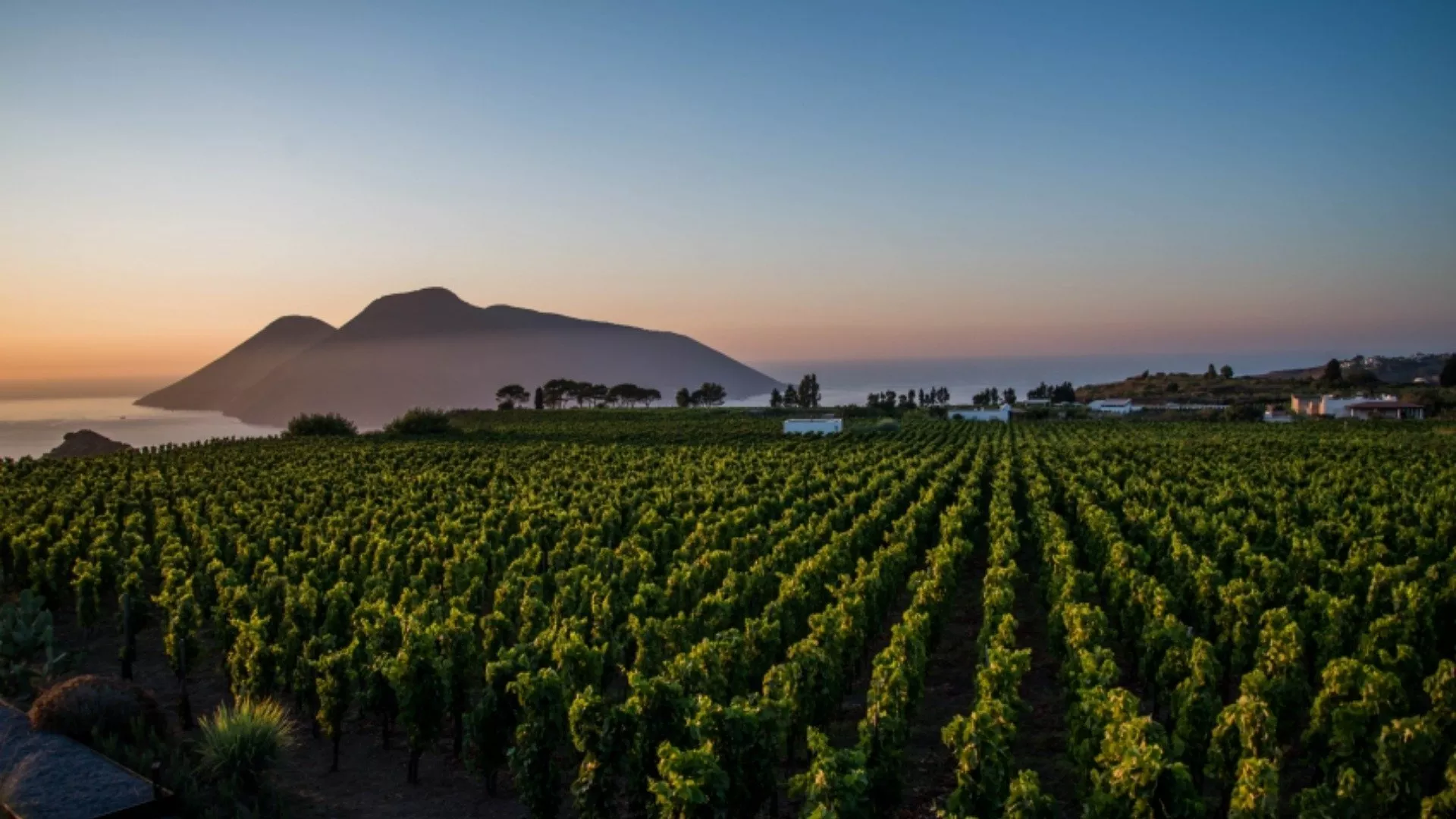 Malvasia delle Lipari