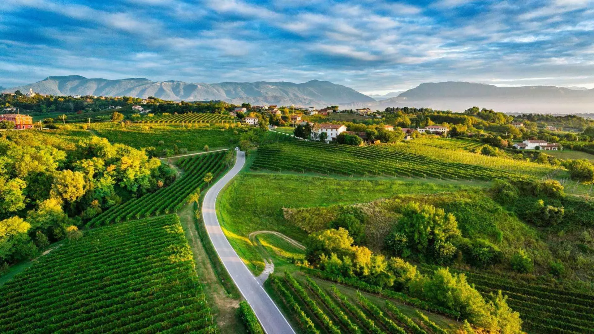 Prosecco e Vini Colli Conegliano - Valdobbiadene