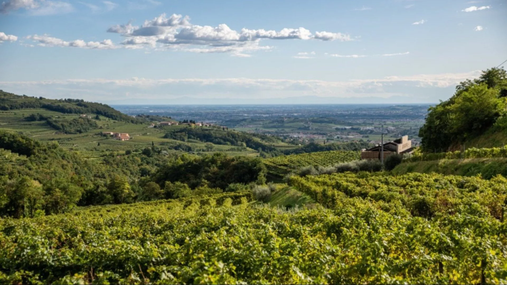 Degustazione Vino Valpolicella
